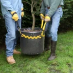 Prolifter20planter
