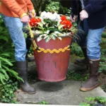 Prolifter20red20pot