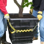 Prolifter20square20pot